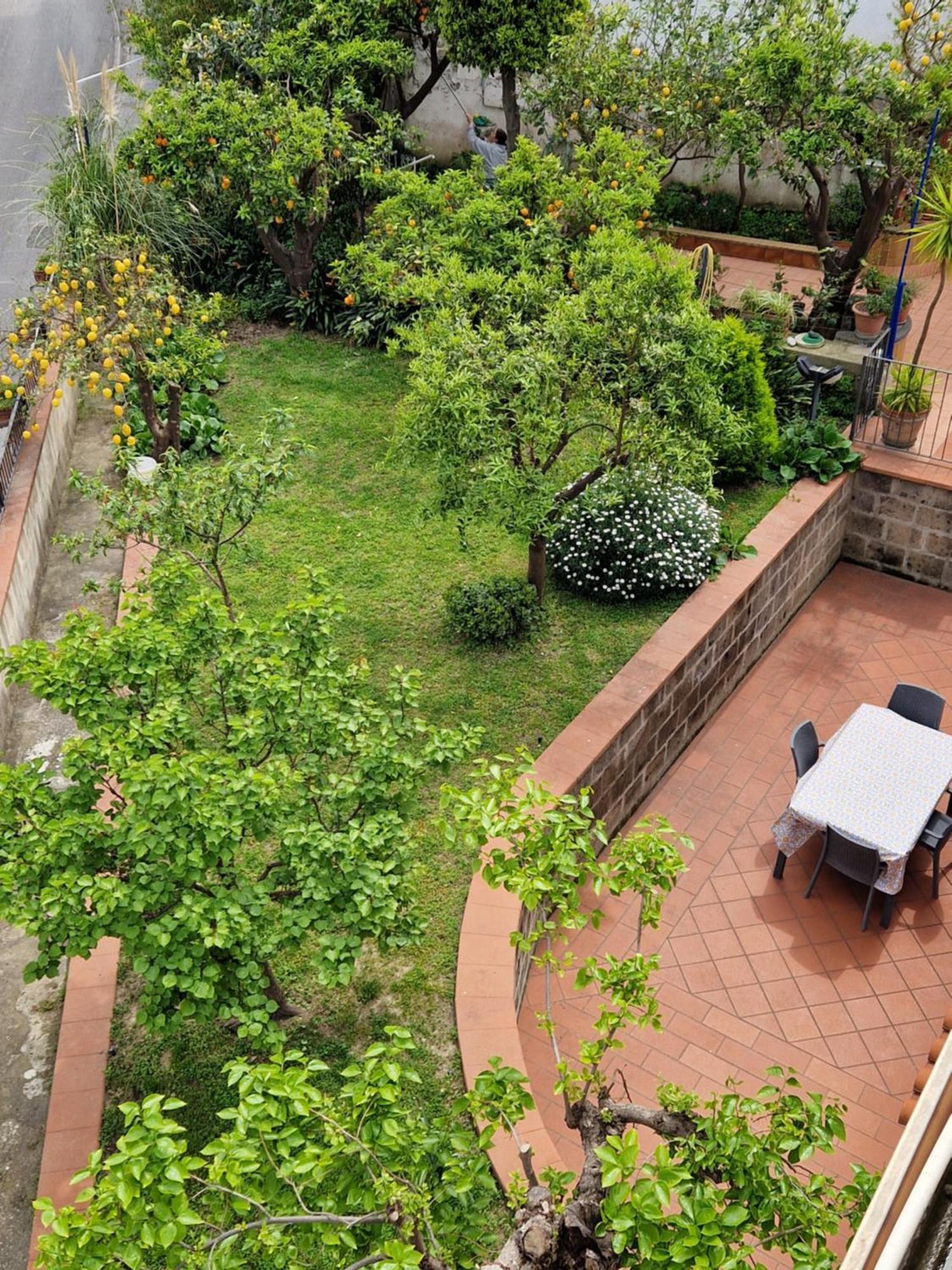 Il Giardino Dei Gigli Apartment Meta Ngoại thất bức ảnh