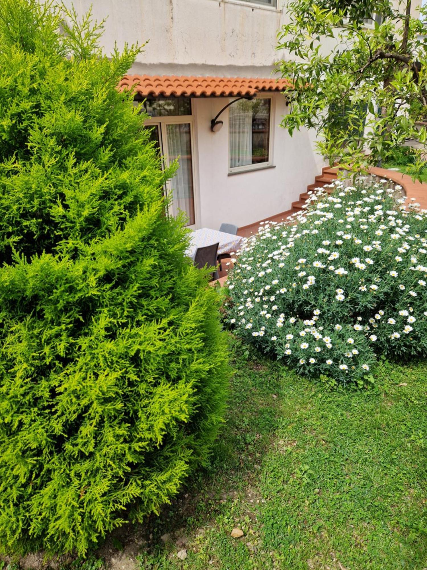 Il Giardino Dei Gigli Apartment Meta Ngoại thất bức ảnh